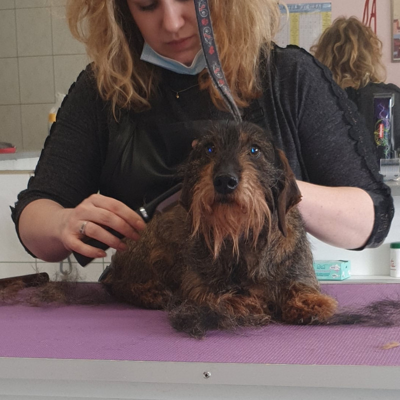 [Image: 20220120-144300.jpg]