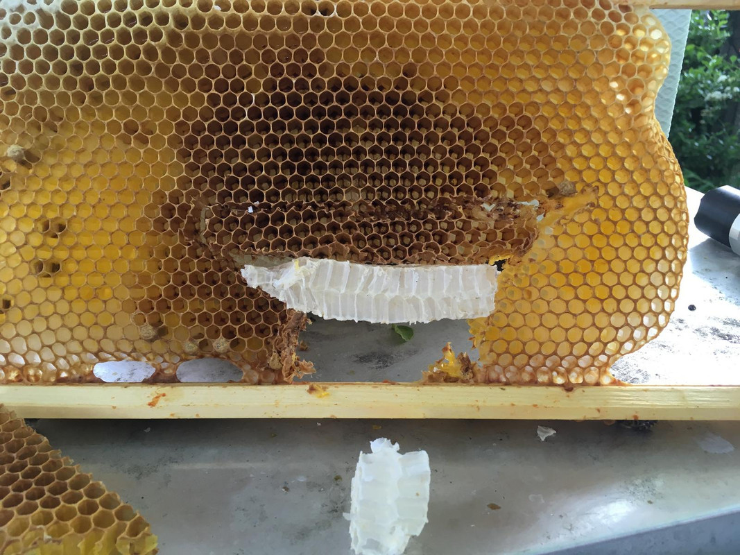 58F8E9A5-69B7-49F3-841B-293F37224C4B