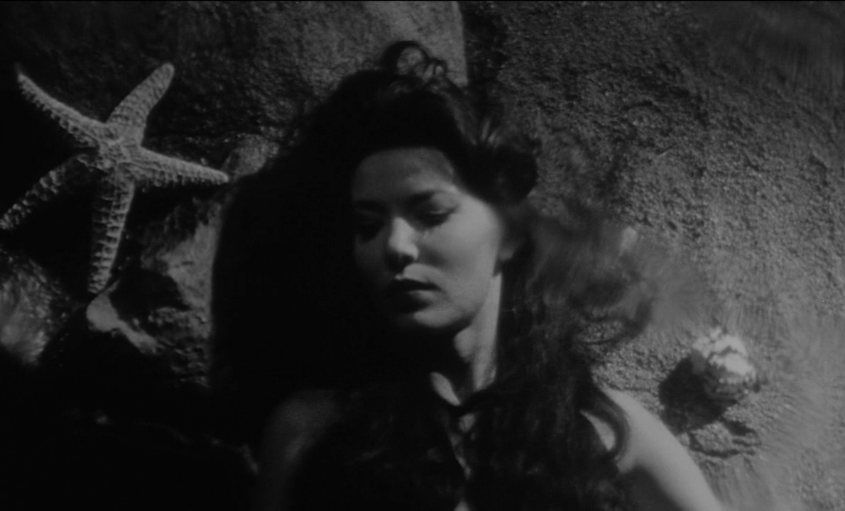 vlcsnap-2022-02-08-14h34m24s686