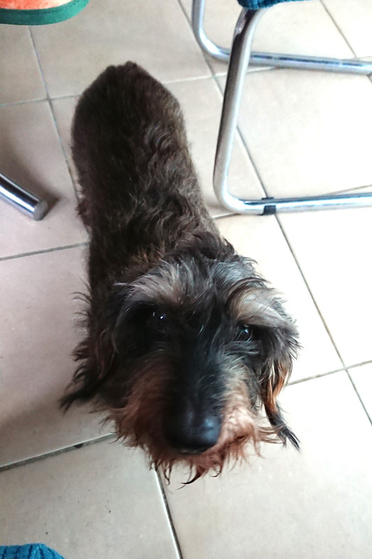 [Image: DSC-3320.jpg]