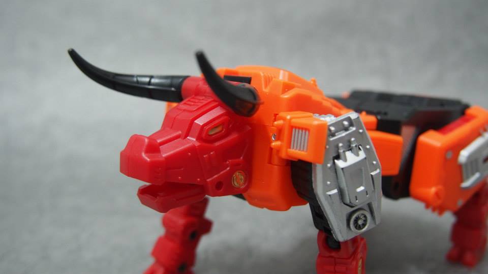 1016783_348286071965471_787226083_n