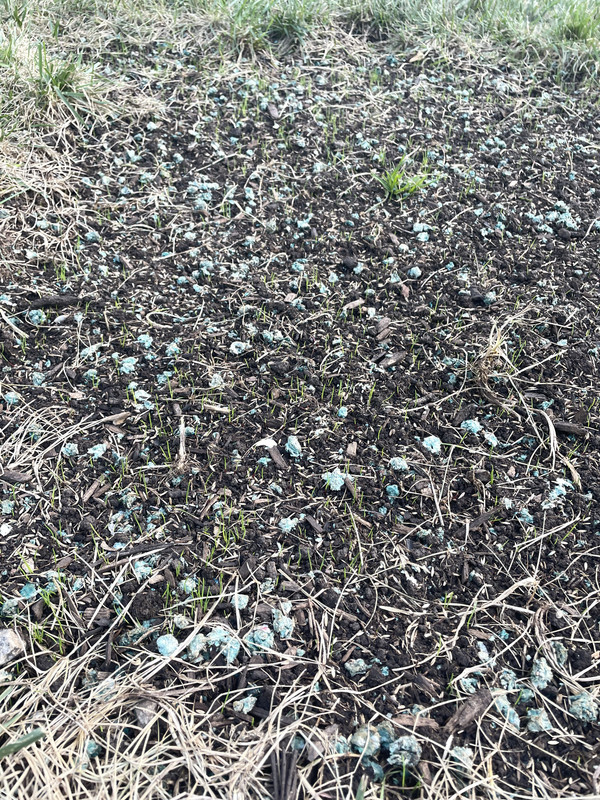 06F4B3AC-DB71-496E-8AB8-EBB160905A82