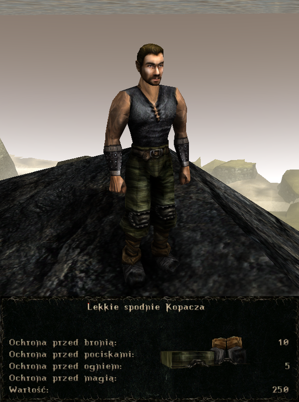 pancerze i ubrania (33)