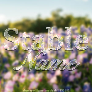 Premade-Avi.png