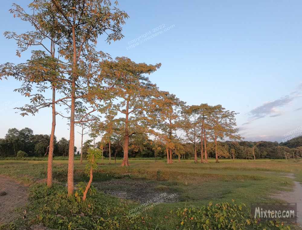 BBG&B16GuwahatiToTezpur - 9