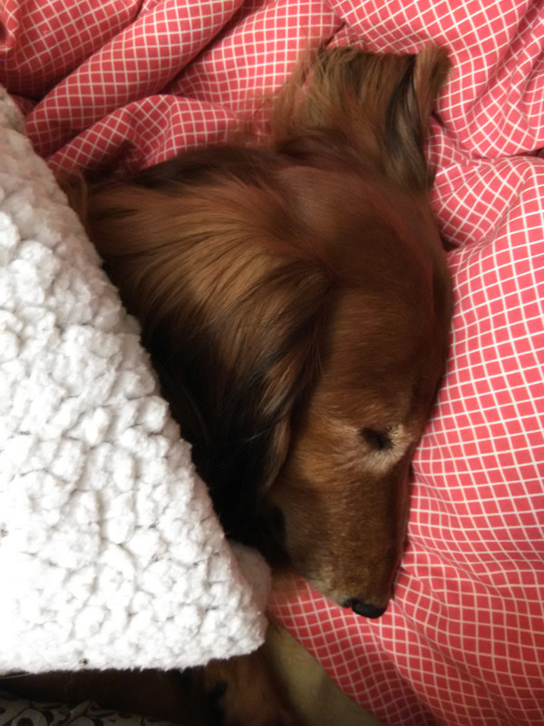 [Image: IMG-20211129-234240.jpg]