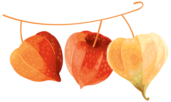 TADD_elements_ShimmerFall (76)