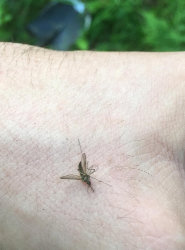 59462310-DB67-467B-8210-08E6F58CF094