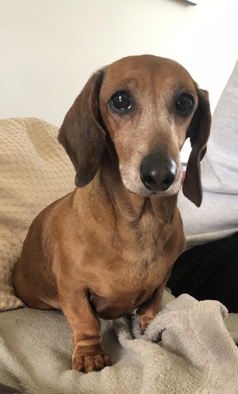 [Image: IMG-3162.jpg]