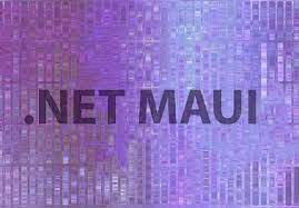 .NET MAUI: The Big Picture