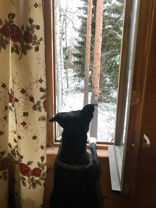 655792E0-A75D-4F7D-A377-2F3993939118