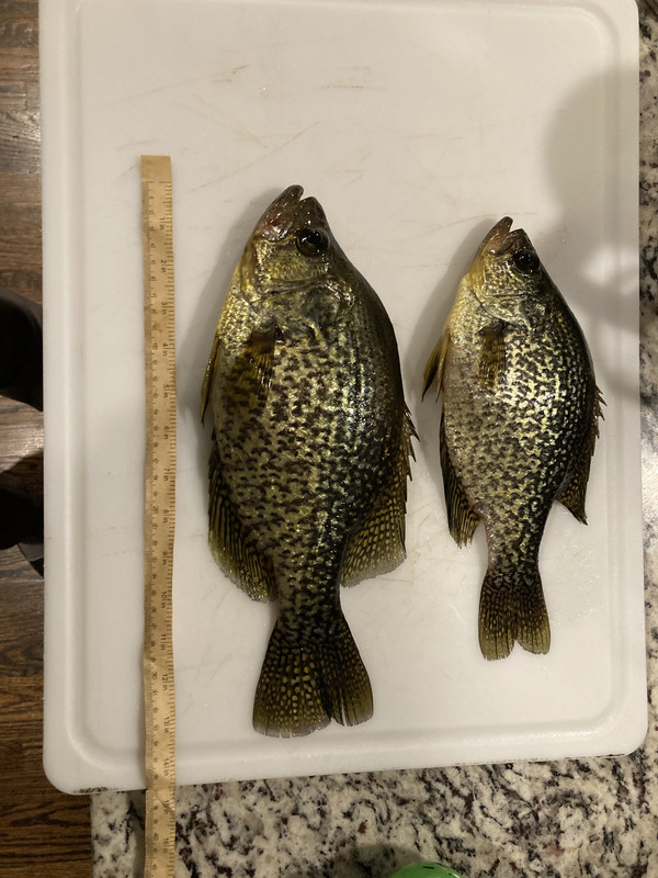 95E7D17E-05CE-4CAC-B241-08DEE66B3879