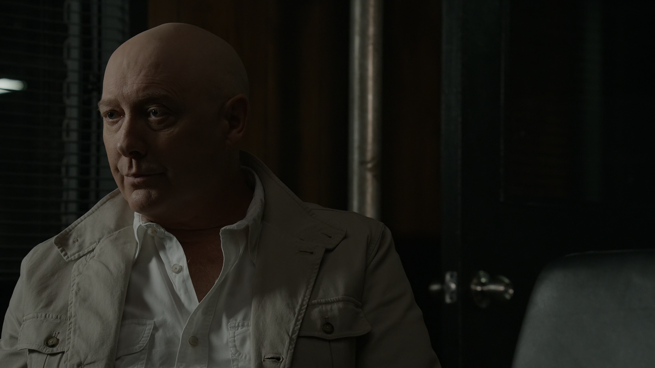 The.Blacklist.S09E02.The.Skinner.Conclusion.1080p.10bit.AMZN.WEB-DL.DDP5.1.HEVC-Vyndros.mkv_snapshot