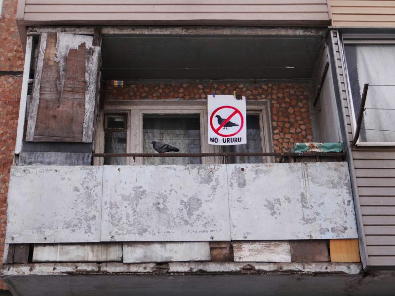 2017_03_18_09_32cs8_pikabu_ru_post_img_big_2017_