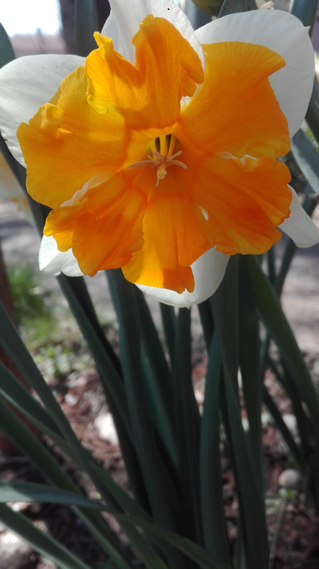 IMG_20200412_130056
