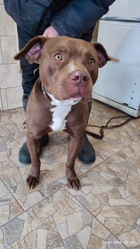 WhatsApp Image 2023-02-03 at 13.44.58 (2)