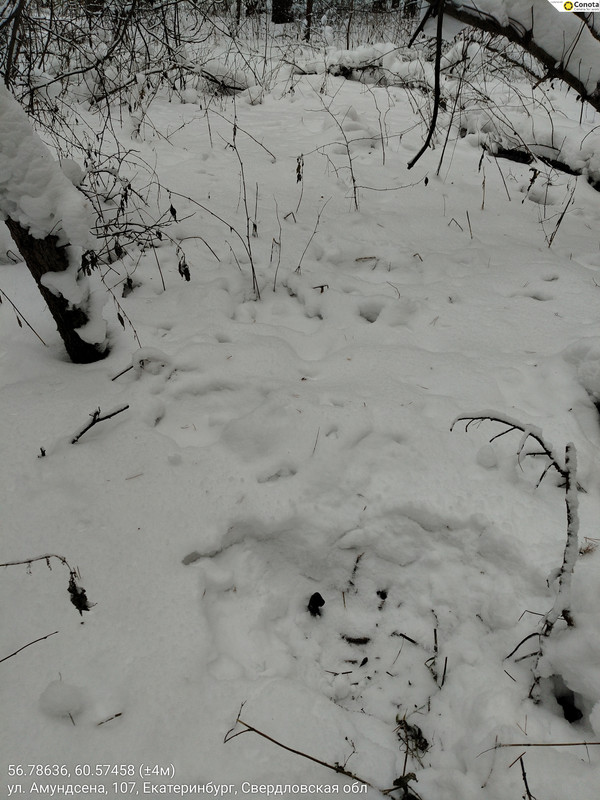 56 78636 60 57458 ( 4м) 06012026 143620