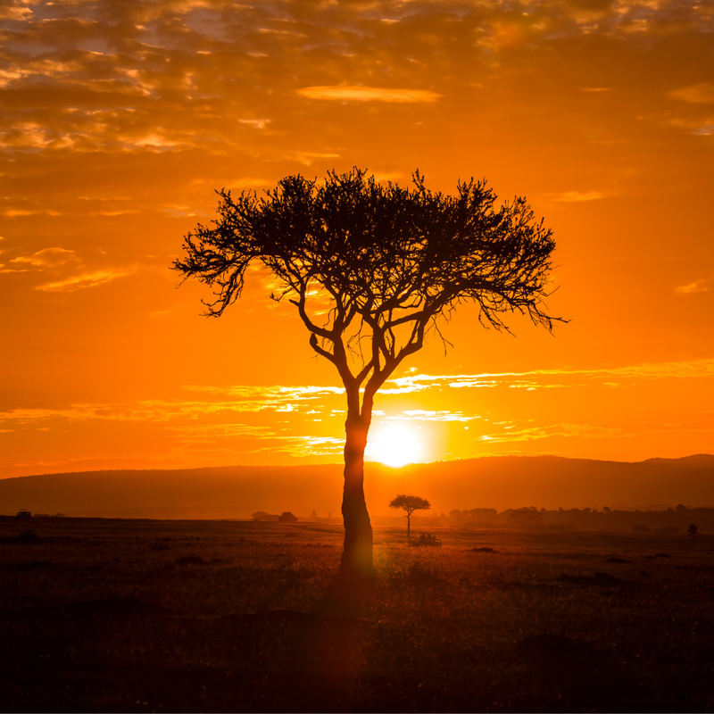 Maasai Mara Sunset