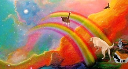 [Image: images-1.jpg]