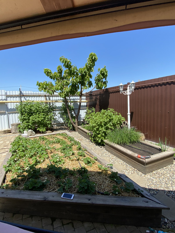 0BC2395A-873F-4A41-A737-FB4FF44ACDB5