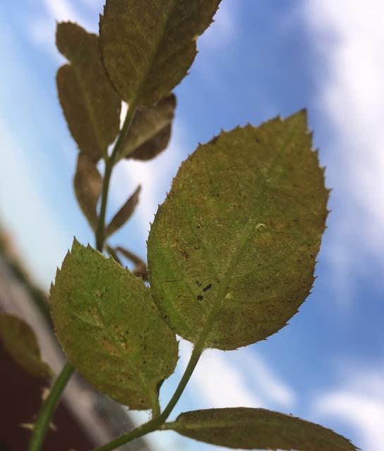 C7E33546-0D23-437A-90BF-D9A4614E1E6A