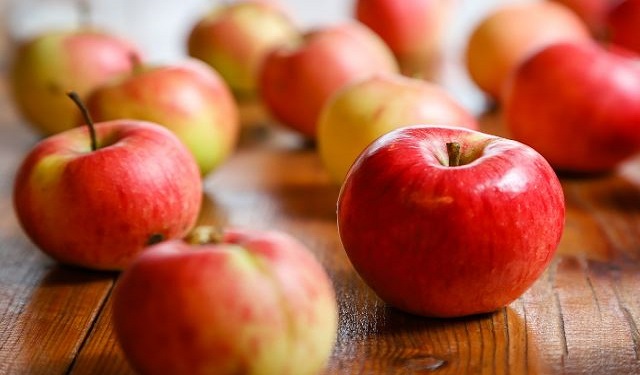 Can Cockatiels Have Apples