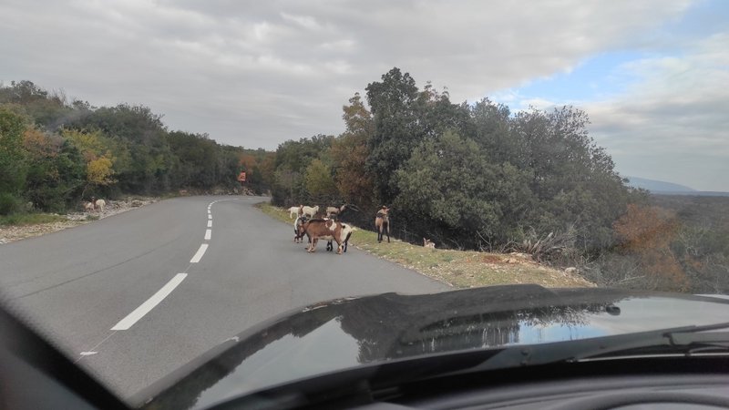 L'Ardèche ou la dèche - Page 3 Thumbnail-1669980428461