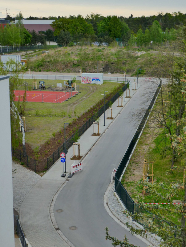 Bild: https://i.postimg.cc/GtzcvWB2/P1190709.jpg