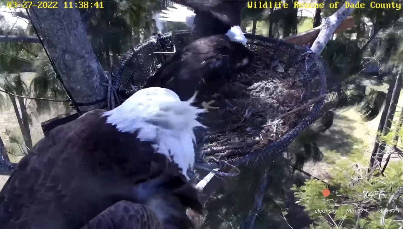 AD97ED4B-10B7-477A-9E55-A12E857C80DC