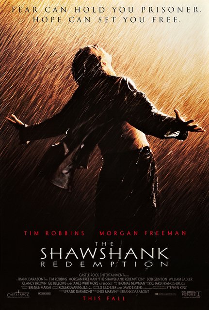 Skazani na Shawshank / The Shawshank Redemption (1994) MULTi.1080p.BluRay.Remux.AVC.TrueHD.5.1-fHD / POLSKI LEKTOR i NAPISY