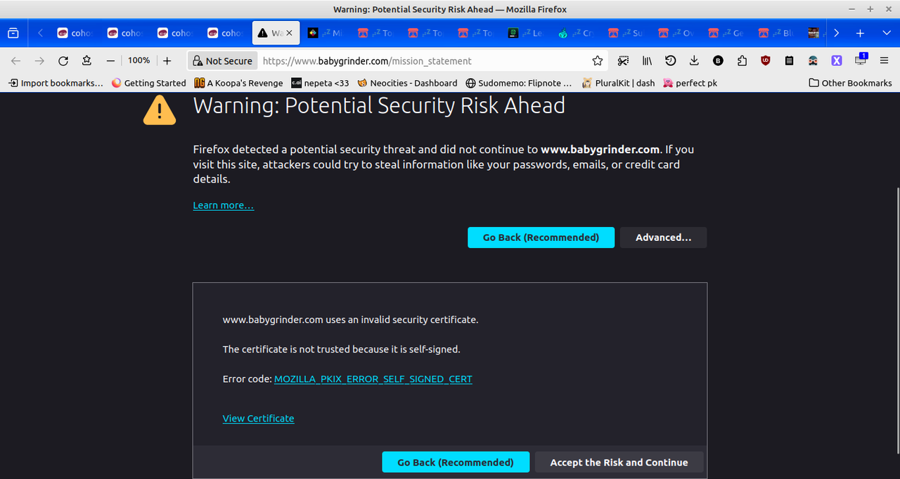 an omen for www/babygrinder.com in the form of a firefox warning page
