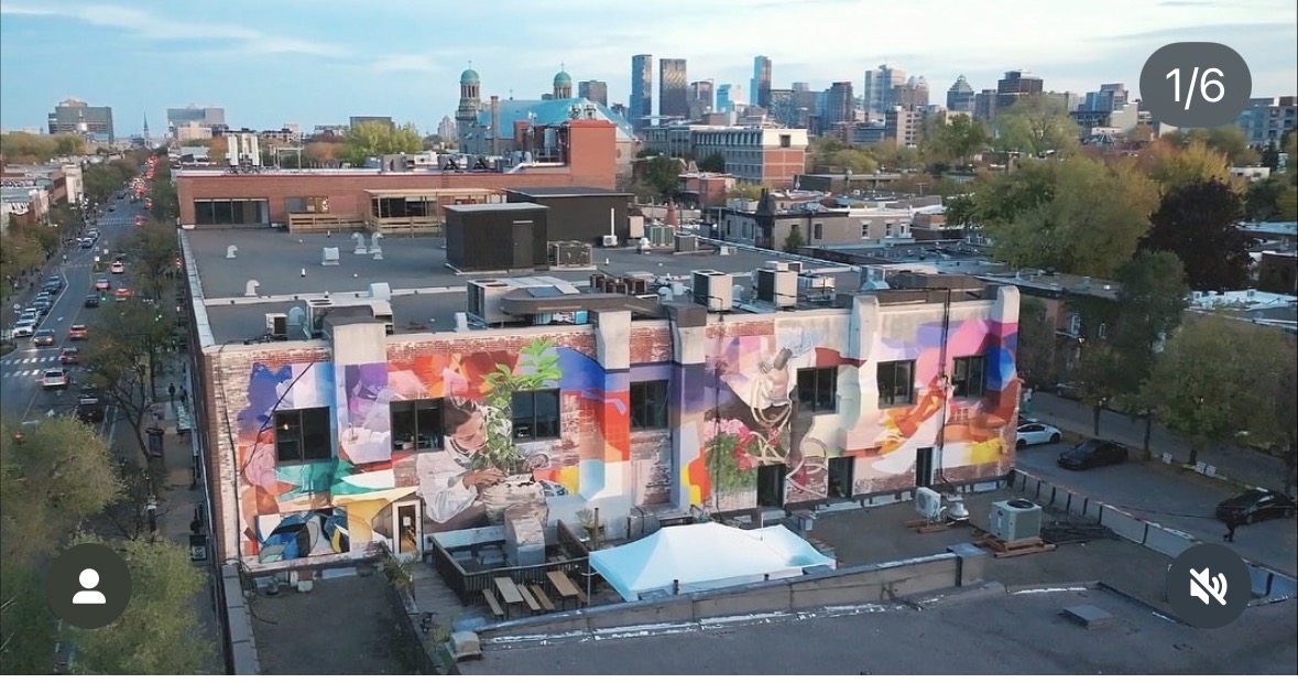 Terrasse MCW — vue drone