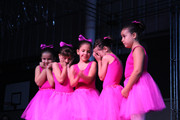 Apresentação de dança (Ballet) (108)