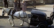 193962090-176968281097922-3381440601301243531-n.jpg