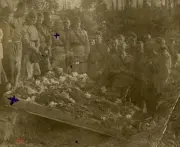 https://i.postimg.cc/H8C0kRkf/image.webp