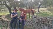 IMG-20251129-142204