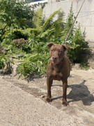 IMG_20230706_153057_920