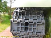 DSCN5341