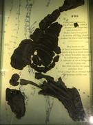 54EFD053-BFEF-4BDD-9DAC-401F3931AE6A