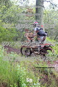 IMG-0342