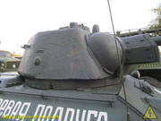IMG-5558