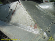 IMG-5537