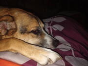 IMG_20231119_215110317_optimized