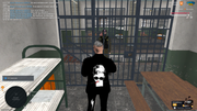 UKRAINE-GTA-06-08-2025-13-48-34