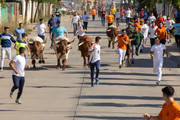 IMG-0466