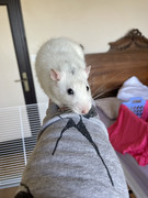 D6D33789-34D8-406F-B8B7-9C66D93A9939