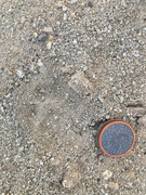 31D26BF9-DA4E-423E-83AD-1D90C3C08F15