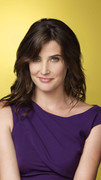 desktop-wallpaper-the-unofficial-how-i-met-your-mother-fan-page-robin-scherbatsky