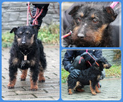 Be-Funky-collage-16.jpg&key=d2c04c8a4b48