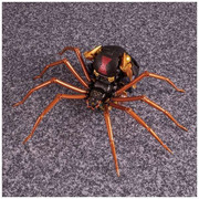 60238505-1739110789524846-6717274721471168512-n